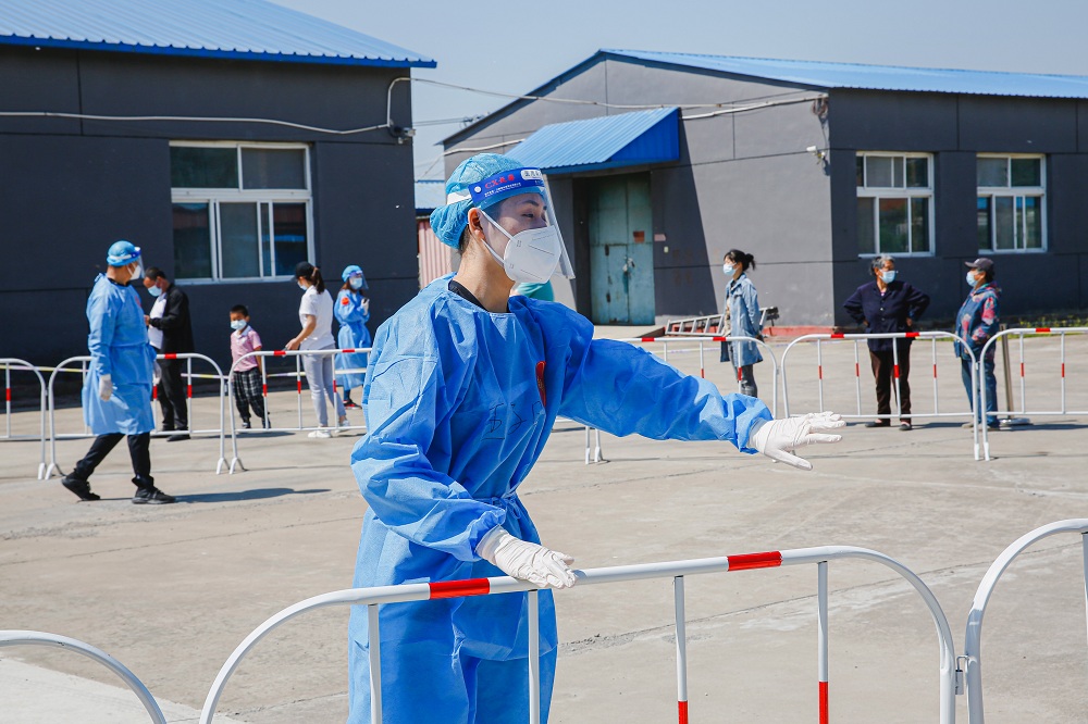 _98A8203.jpg _98A8203.jpg