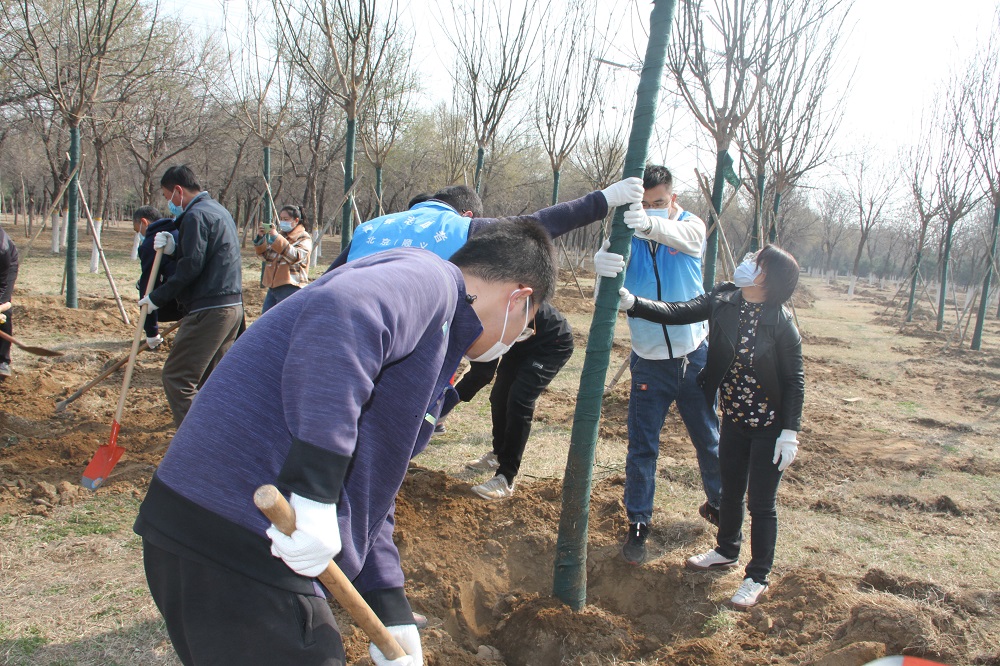 IMG_9665.JPG IMG_9665.JPG