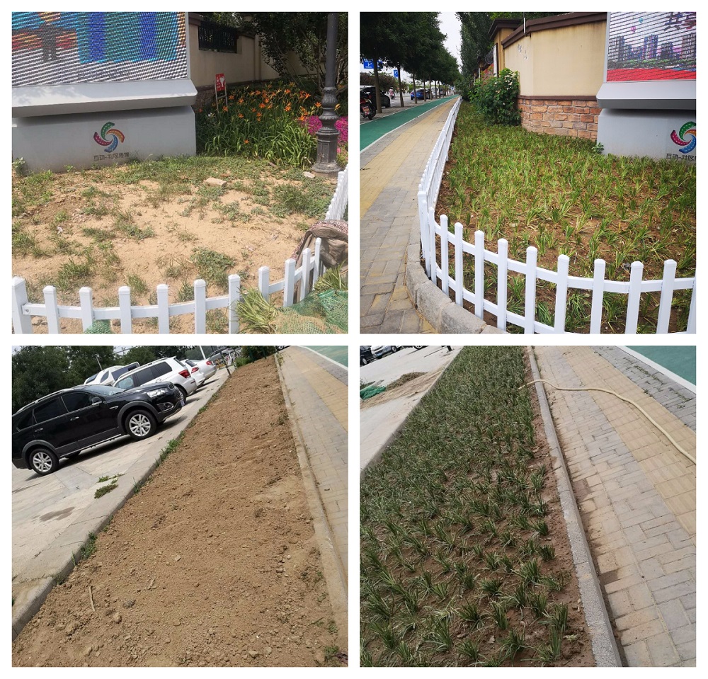 FotoJet1.jpg FotoJet1.jpg