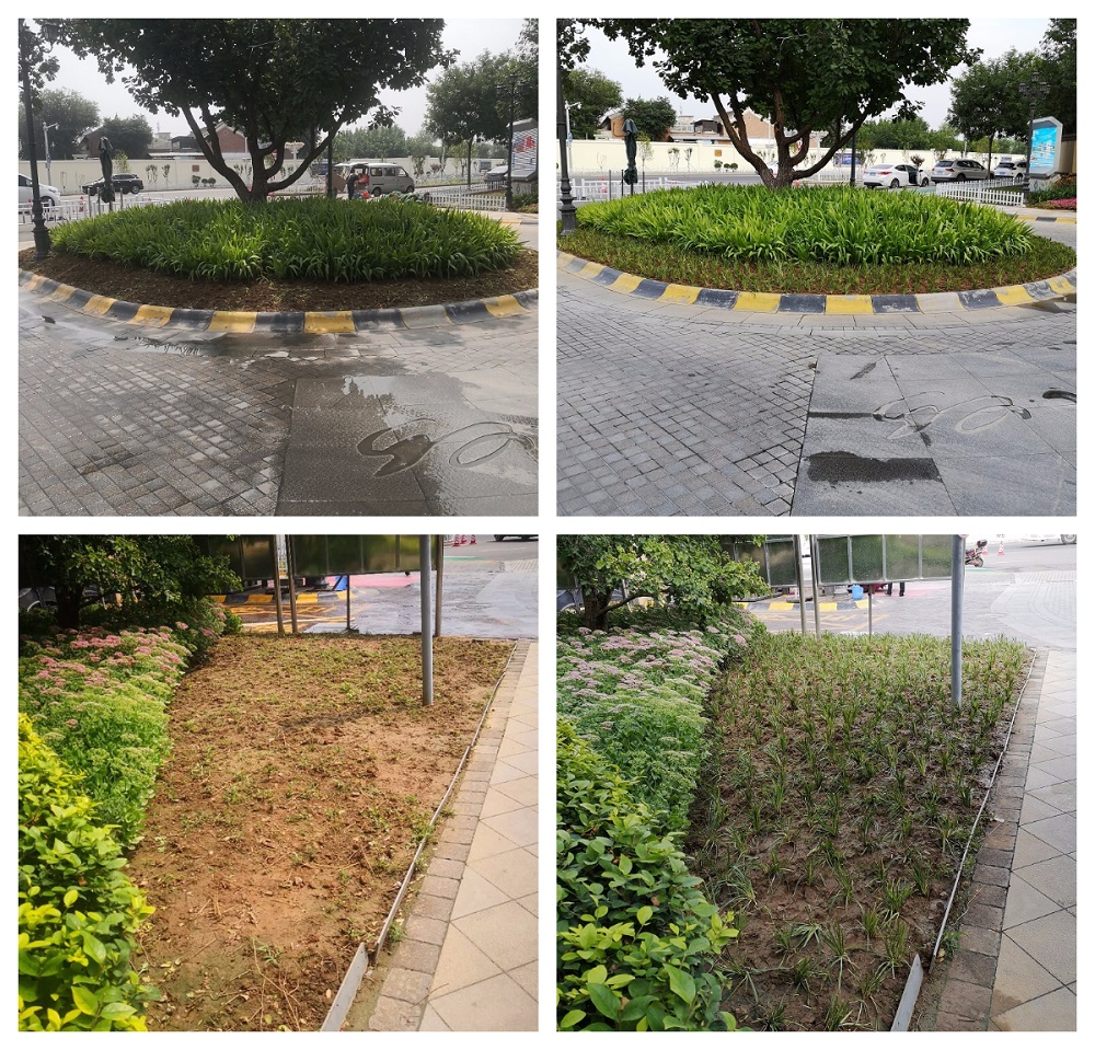 FotoJet.jpg FotoJet.jpg