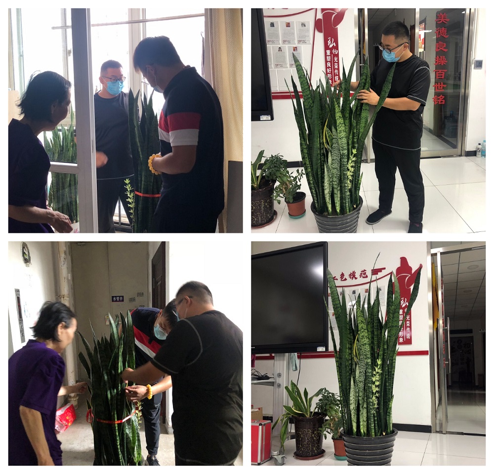 FotoJet.jpg FotoJet.jpg