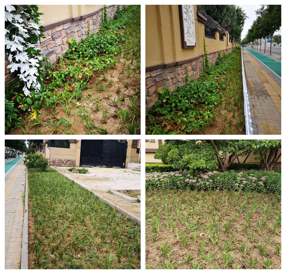 FotoJet2.jpg FotoJet2.jpg