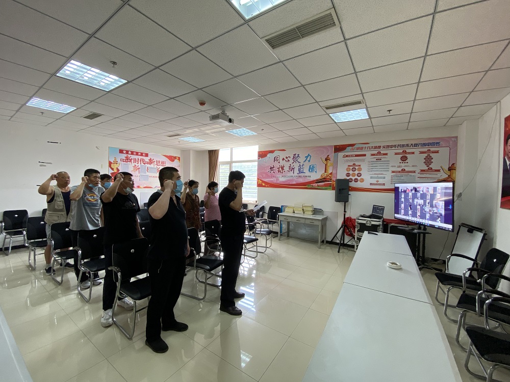 桃山村党支部云宣誓.jpg 桃山村党支部云宣誓.jpg