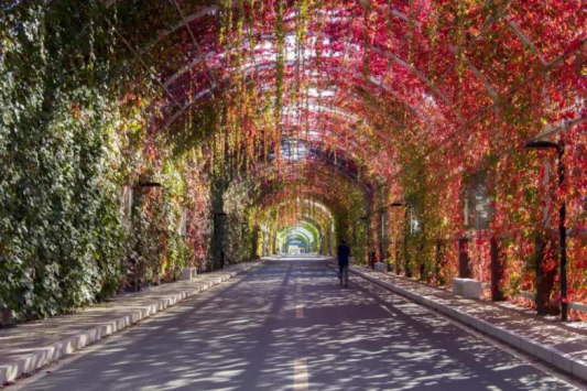 图片 4.png 图片 4.png